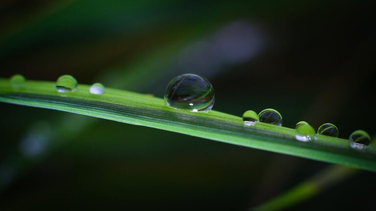 How to Build a Calming Morning Routine for a Peaceful Day